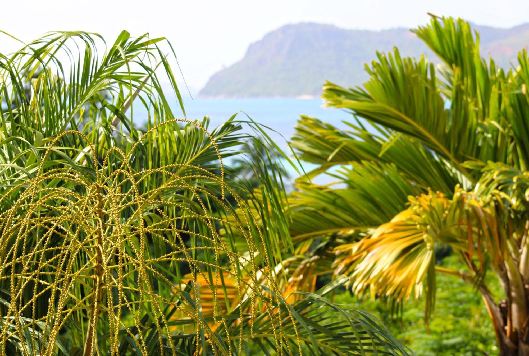 Ferienwohnung Ocean Blue Bay Anse Volbert Village Exterior foto